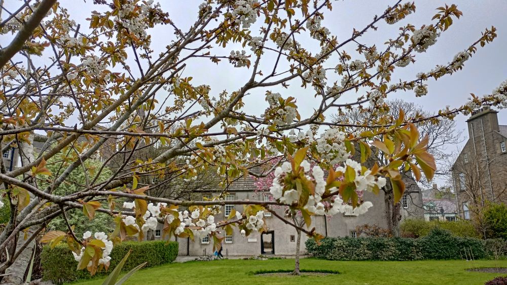 Weather Forecast 10 May: Dry with sunny spells.