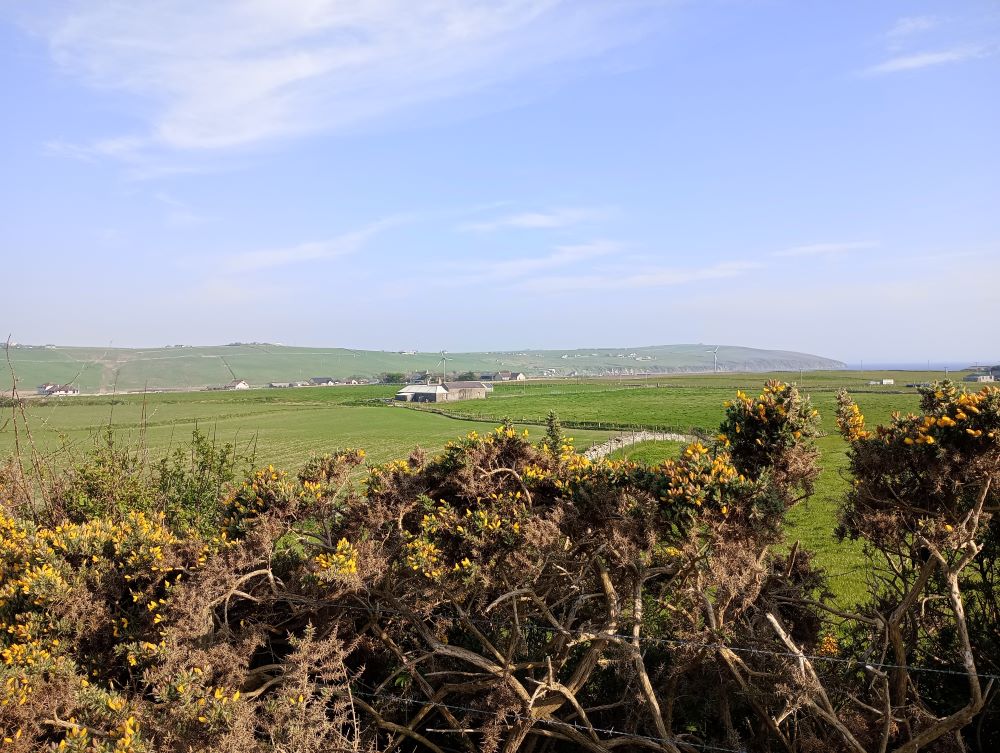 Weather Forecast: Sunny Spells