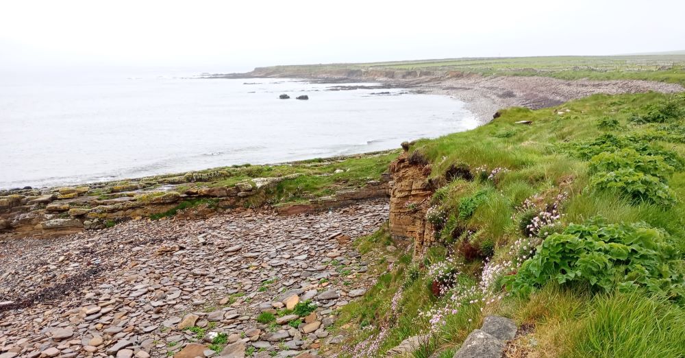 Weather Forecast 2 May : Cloudier and cooler with a few showers, drier later.