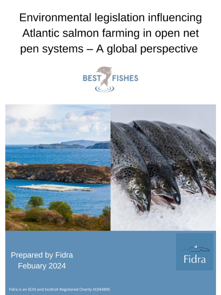 Global Impact of Salmon Farming Examined in New Report