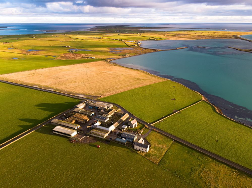 Two Sanday Farms Up For Sale
