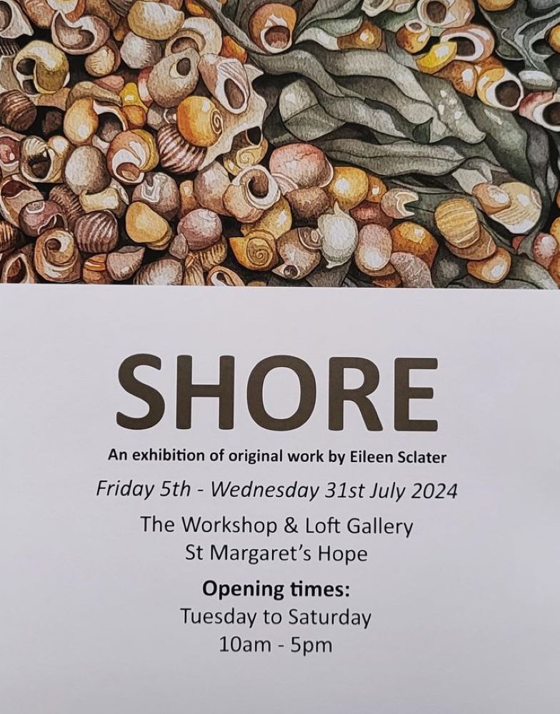 Shore: New Exhibition at the Loft