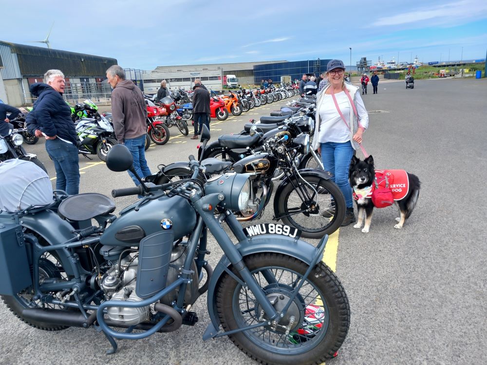 a row of motorbikes with people looking at them