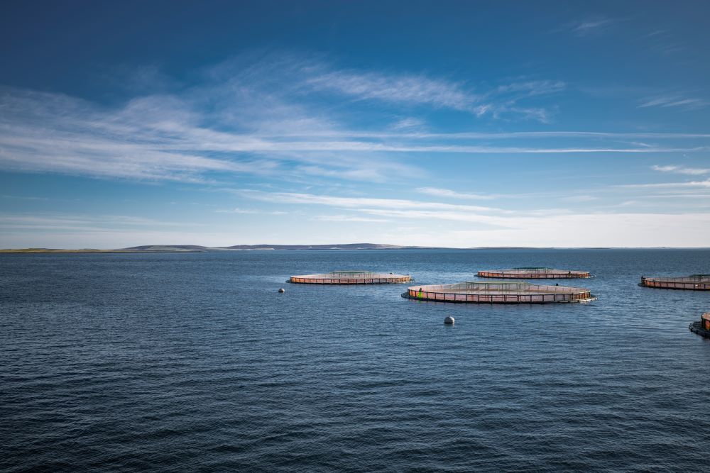 Salmon Farming : Committee Follows Up on Its Recommendations
