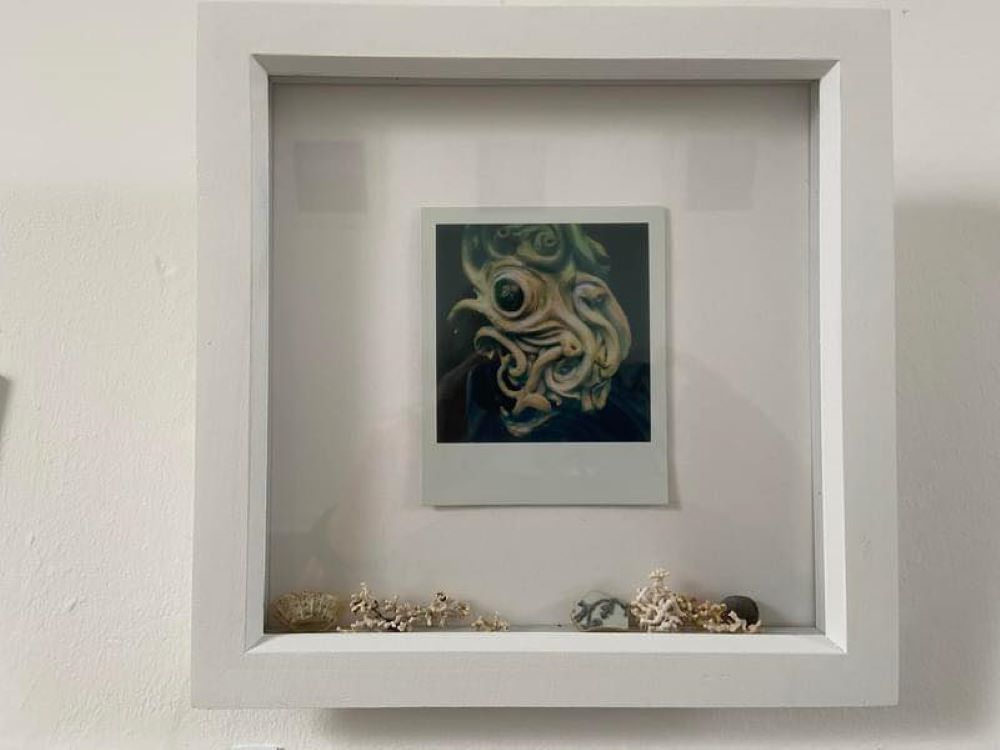 image , an eye on a sea creature