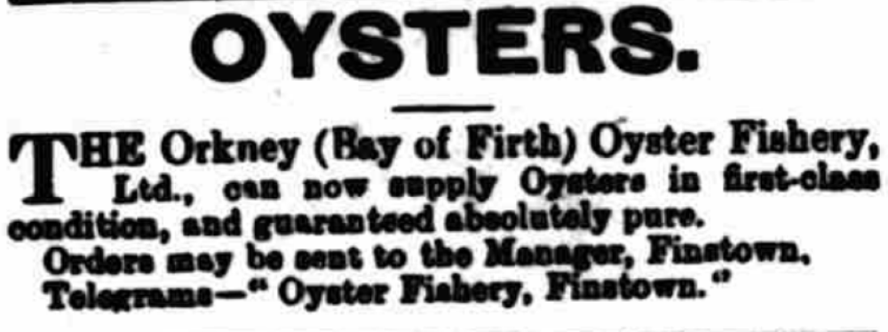 Exciting Project to Re-Establish Bay of Firth Oysters
