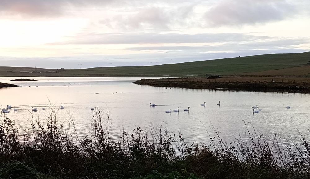 Weather Forecast 11 October : Cloudy and breezy with patchy light rain or drizzle.