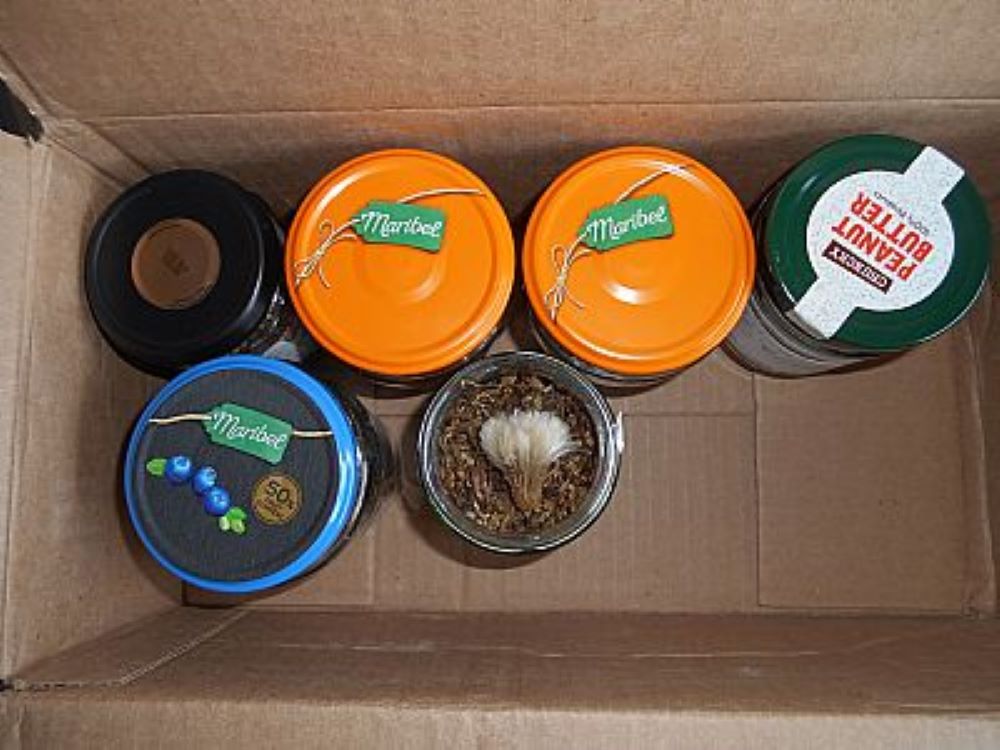 Delivering the Seeds