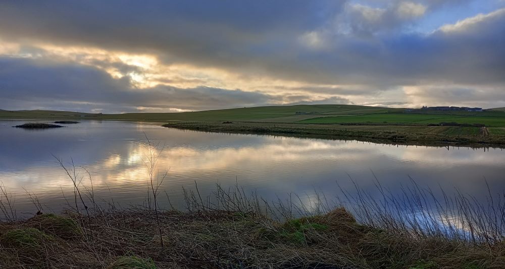 Weather Forecast: Rather cloudy with a few showers today. Windy.