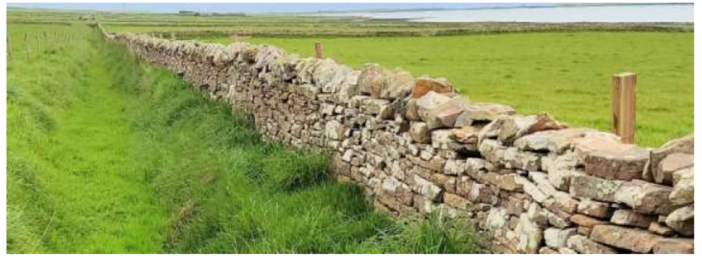 Flag fences, ditches and dry-stone dykes Part 4