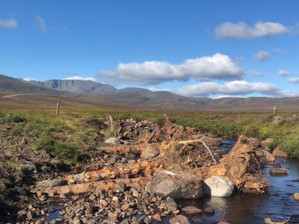 large cut down trunks of trees placed in river