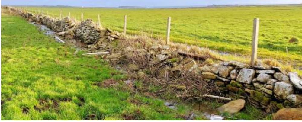 A neglected dry-stone dyke, where a few ragstones rubbed off by cattle and not replaced soon grew until the dyke is now little other than a heap of stones.