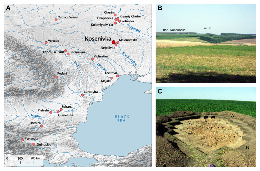 Revealing the Lives of the Neolithic People of Modern Day Kosenivka, Ukraine.