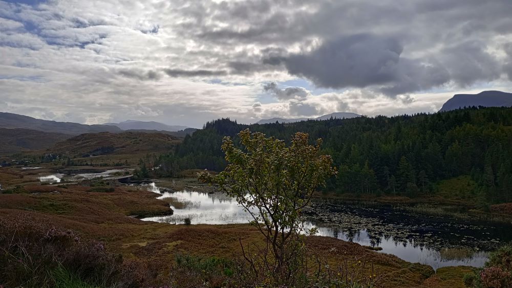 Podcast Explores Climate Change