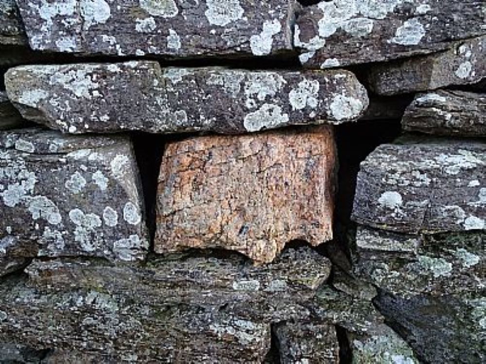 The Puzzle That Is The Past