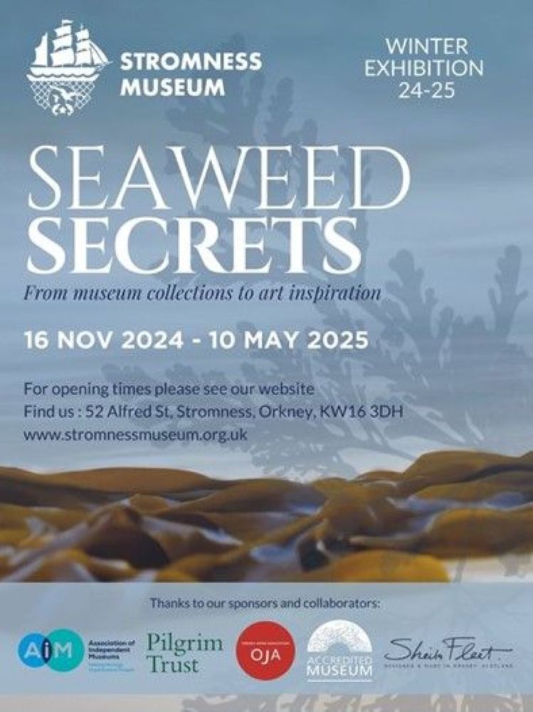 The Beauty of Seaweed