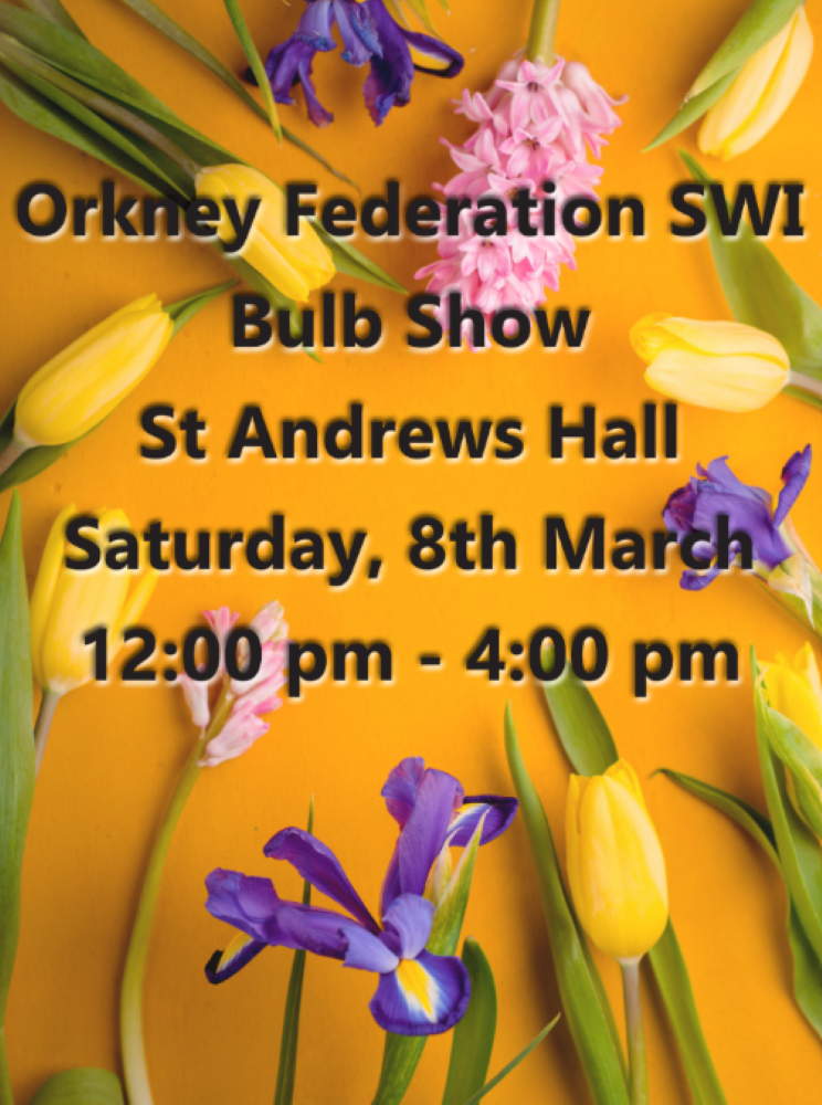 Upcoming: Bulb Show