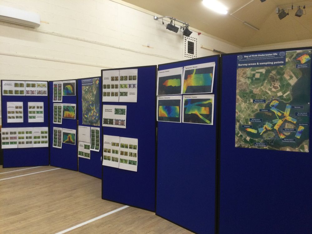 Find Out About The Firth Oysters Project