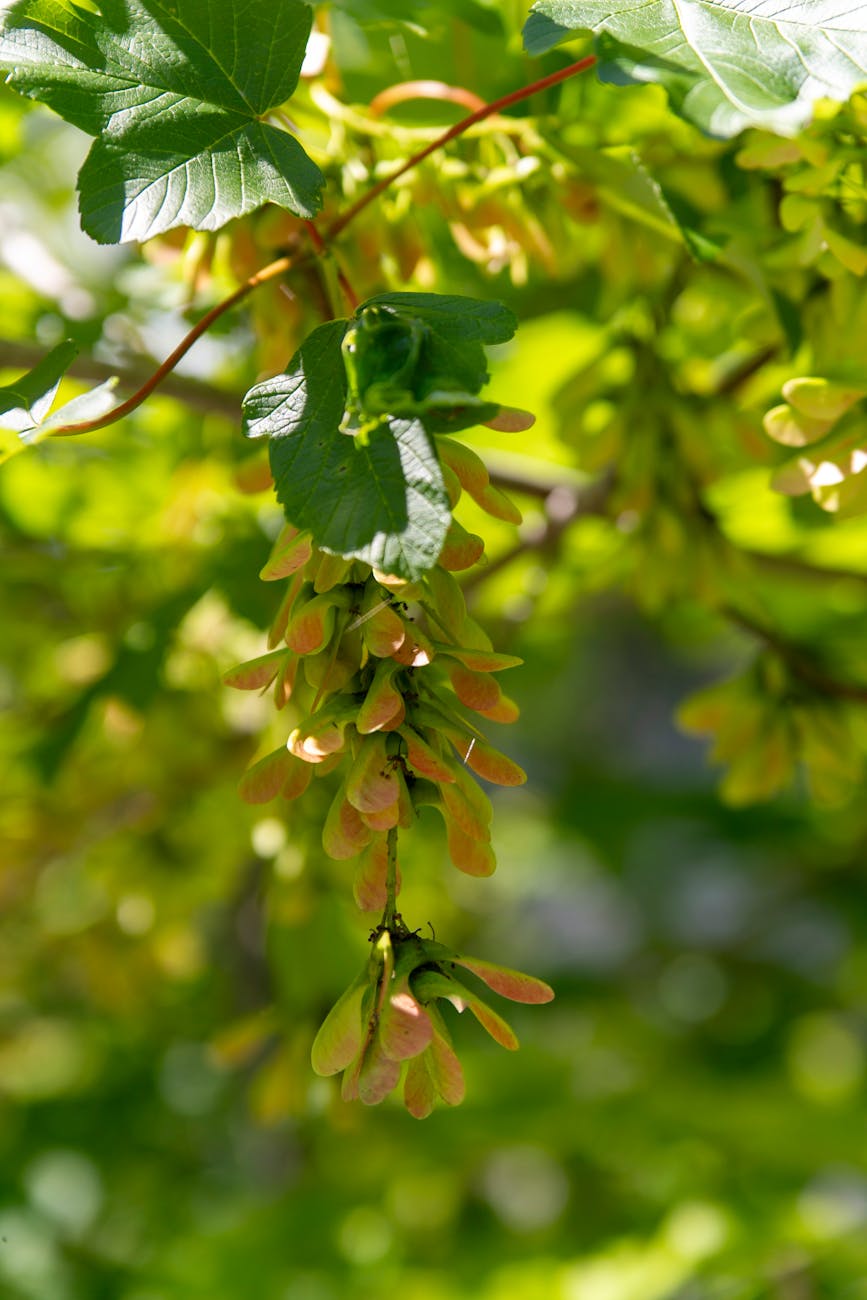 Where is Hopkins when we need him.