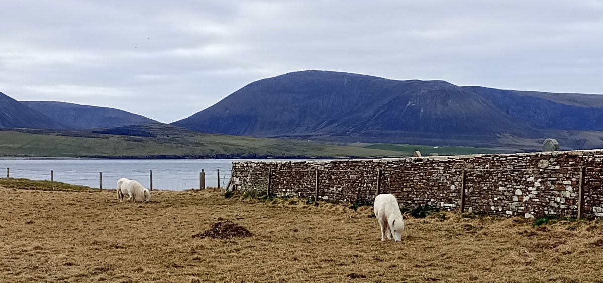 Weather Forecast 14 April: Sunshine and a few showers today.