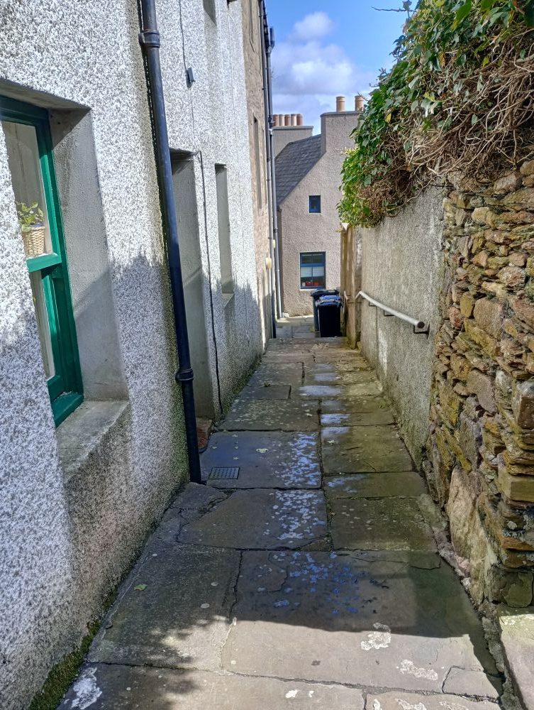 Weather Forecast 30 January : Windy with outbreaks of rain.