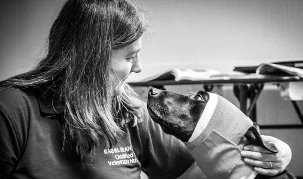 Rachel Bean with a dog needing care