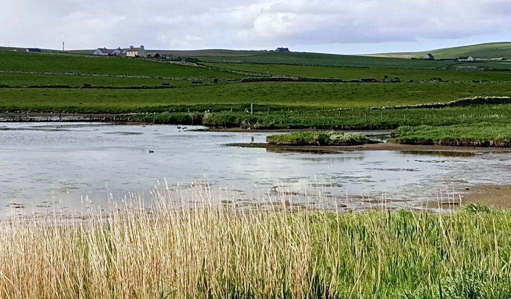 Weather Forecast 23 May: Dry with sunny spells today.