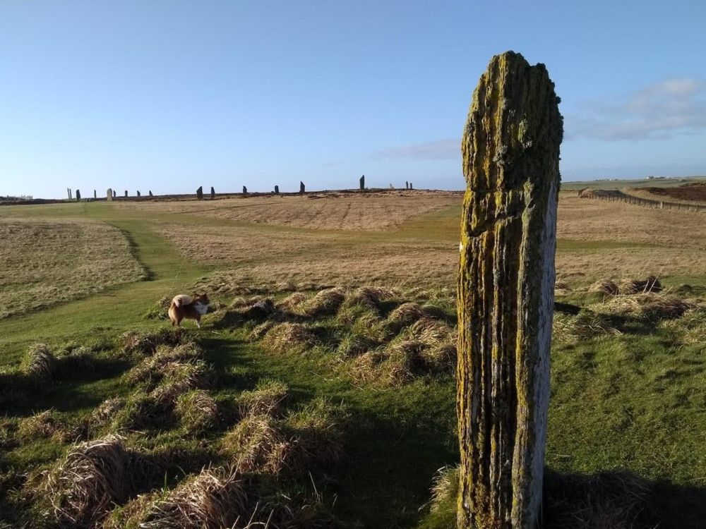 Weather Forecast 28 May : Sunny spells and showers.