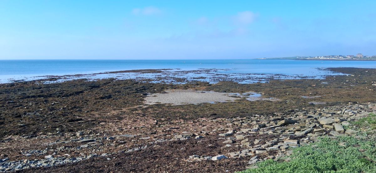 Weather Forecast 14 May: Dry with prolonged sunshine and light northeast breezes. Seasonally warm.