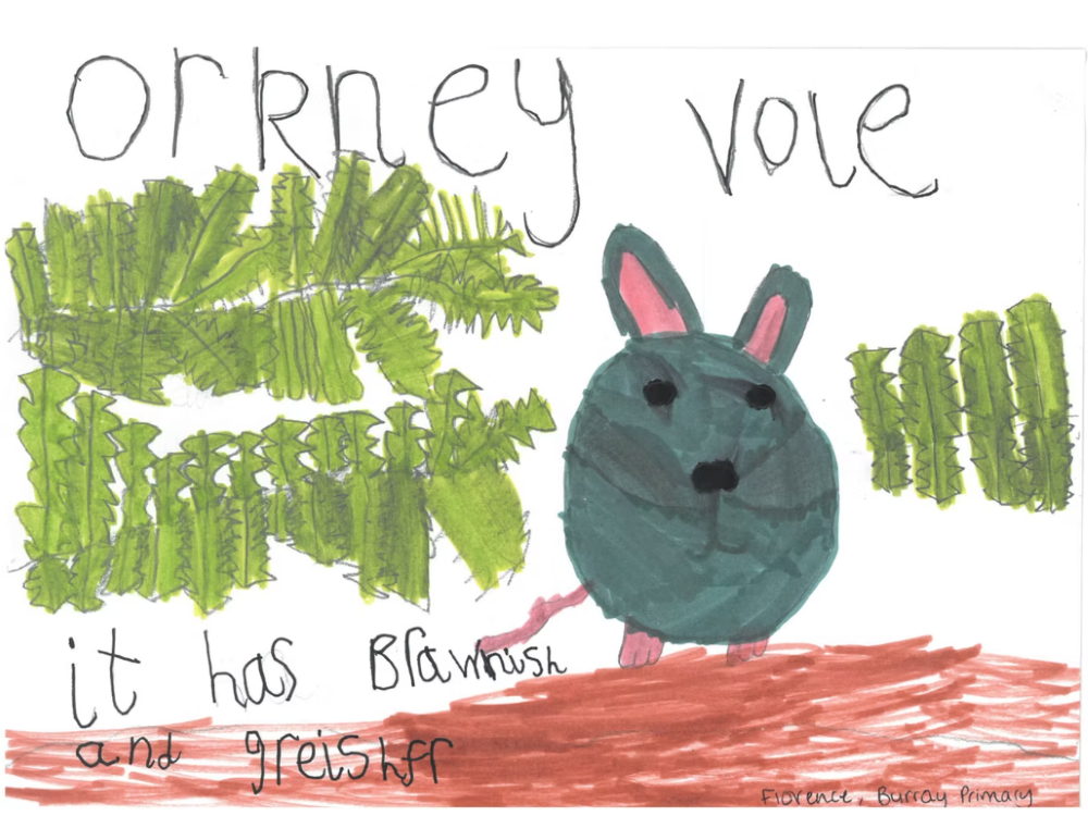 Islands’ School Students Research the Biodiversity of their Communities