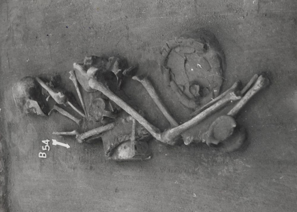 human skeleton lying on its side