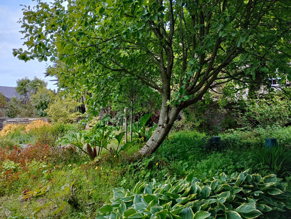Weather Forecast 4 June: Blustery showers on Wednesday.