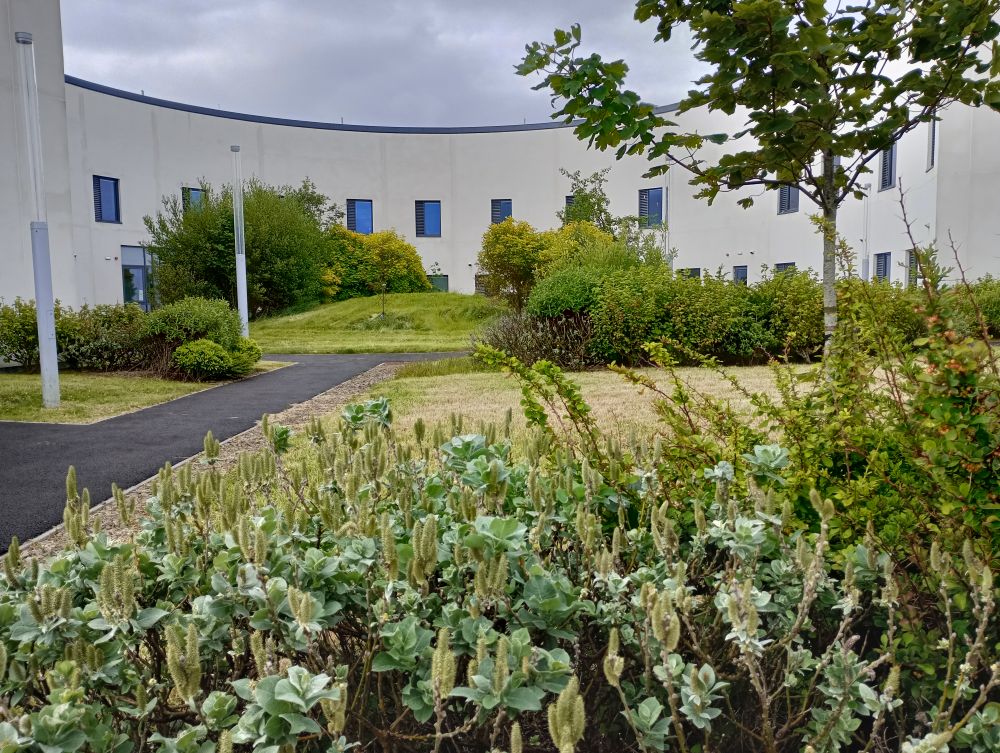 “These spaces are crucial for improving public health, offering people places to relax, recover, and exercise.”