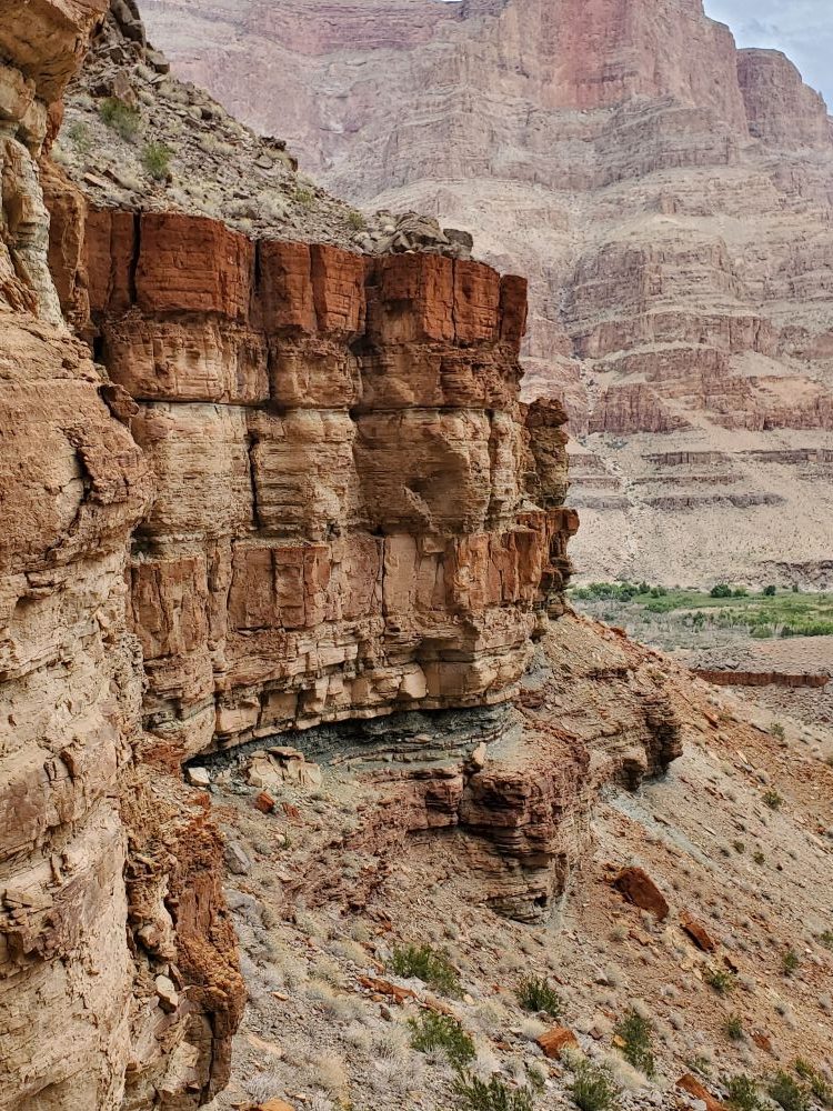 A treasure trove of exceptionally preserved early animals from more than half a billion years ago has been discovered in the Grand Canyon, one of the natural world’s most iconic sites.