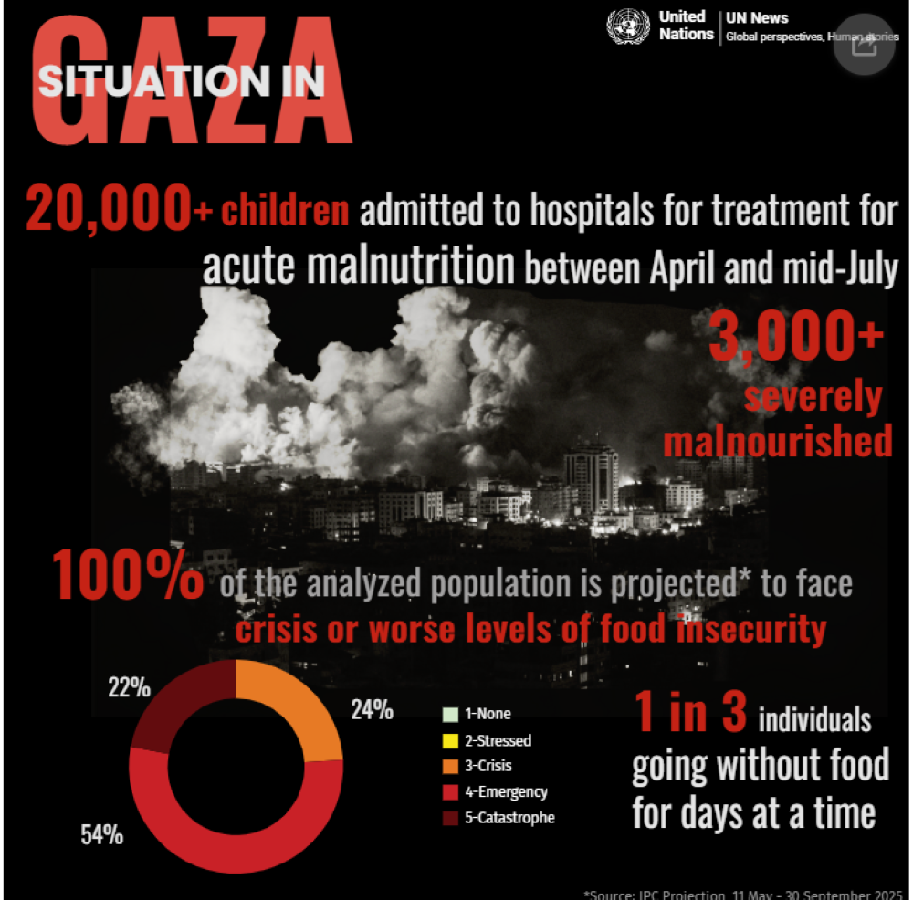 Recognition of the State of Palestine as #Gaza Starves