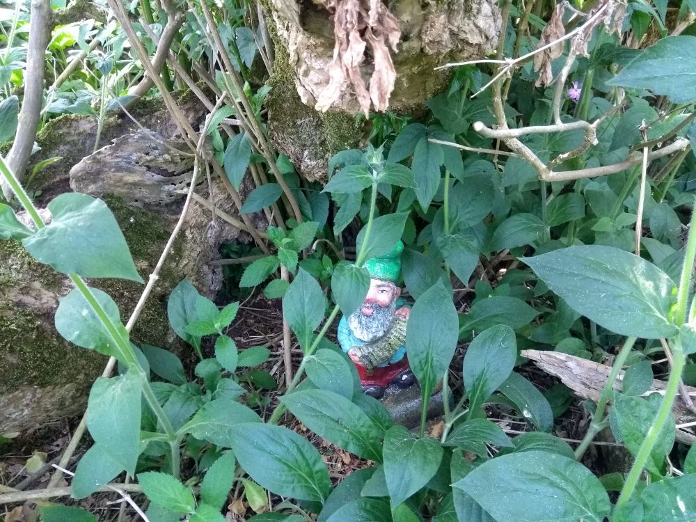 Weather Forecast 24 July : Cloudy morning with patchy rain, then a brighter afternoon