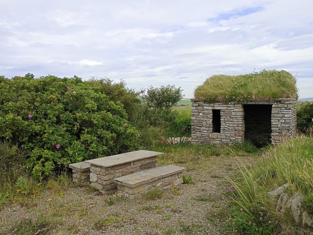 Strathborg: A Little Gem for Wildlife