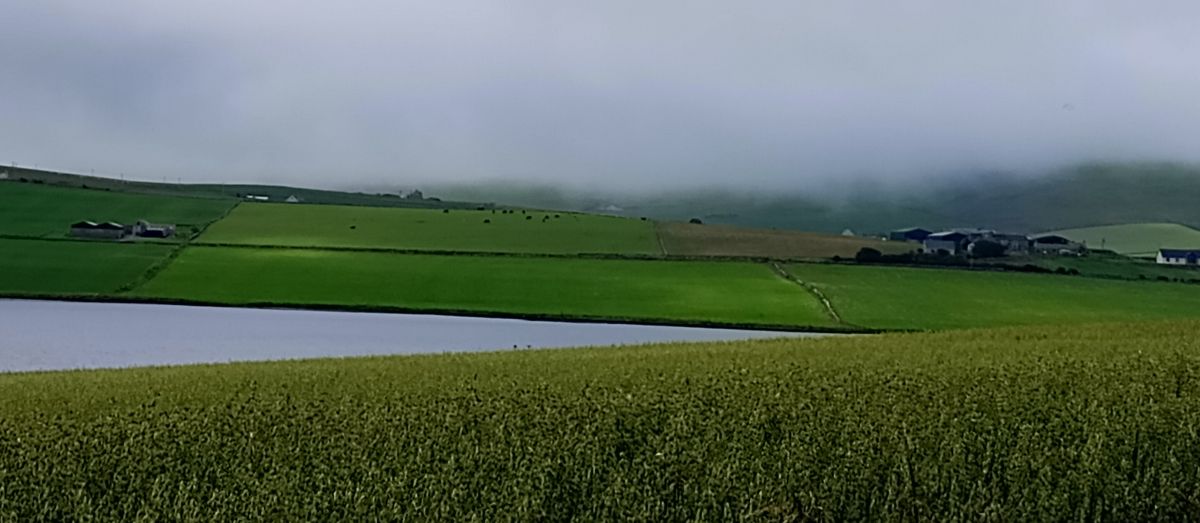 Weather Forecast 30 July: Dry with some bright spells today.