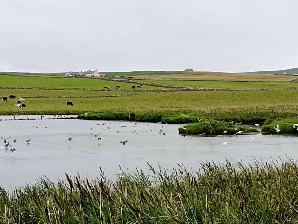 Weather Forecast 25 July : Cloudy in the morning, patchy rain, becoming a brighter afternoon