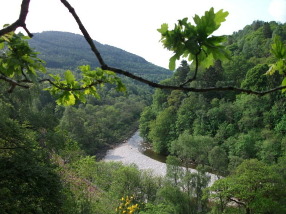 the steep pass at Killiecrankie , deeply wooded with the river beneath