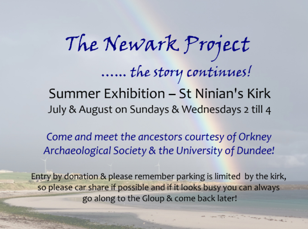 poster for the Newark project