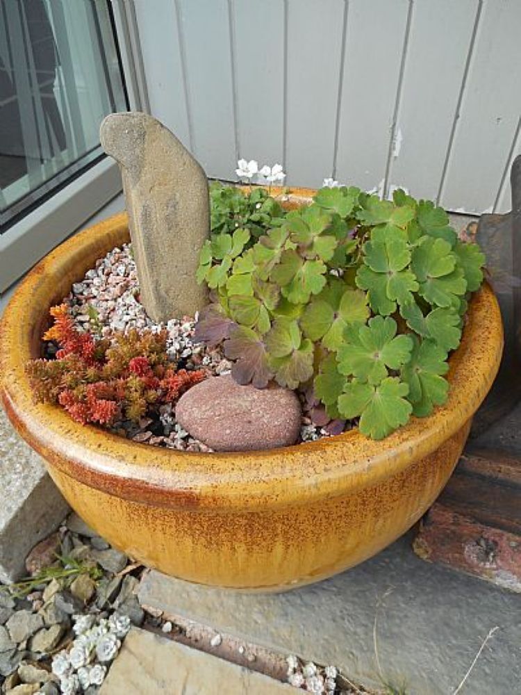 The Standing Stones Of Sheila Fleet
