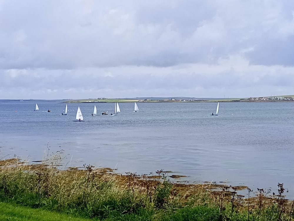 Weather Forecast 5 August: Blustery showers today.
