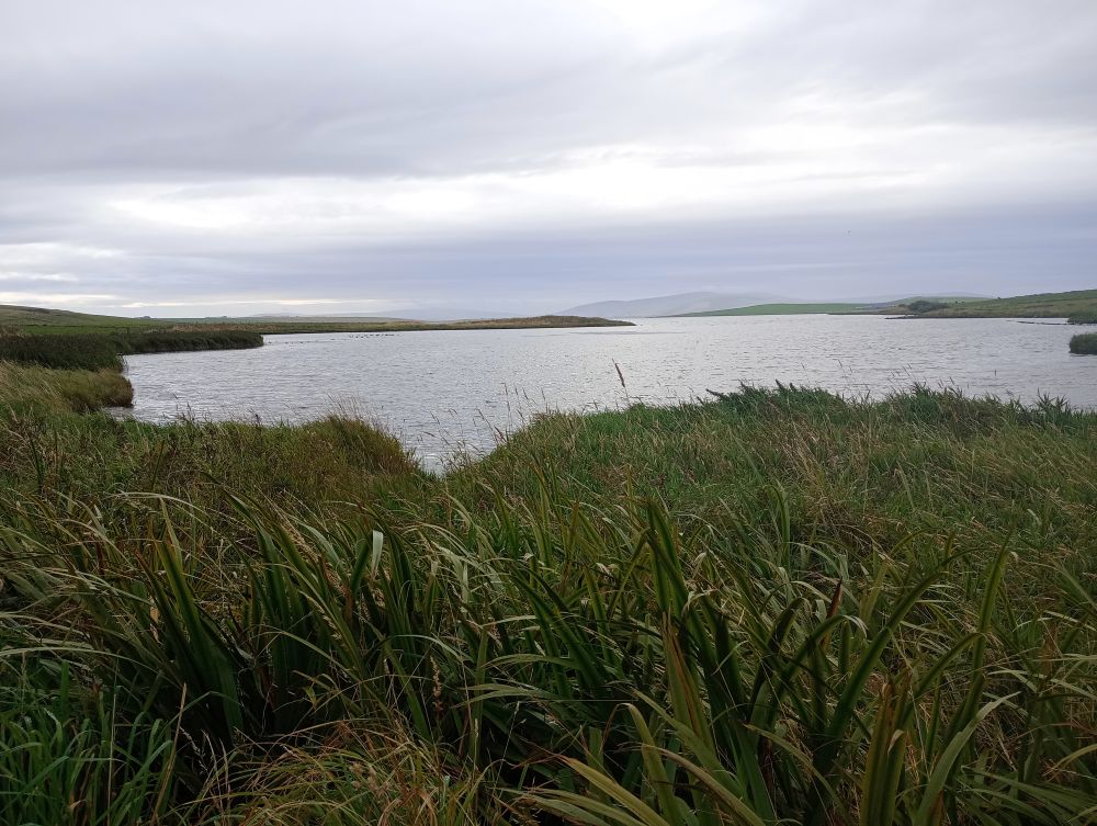 Weather Forecast 27 August: Mainly dry and bright.