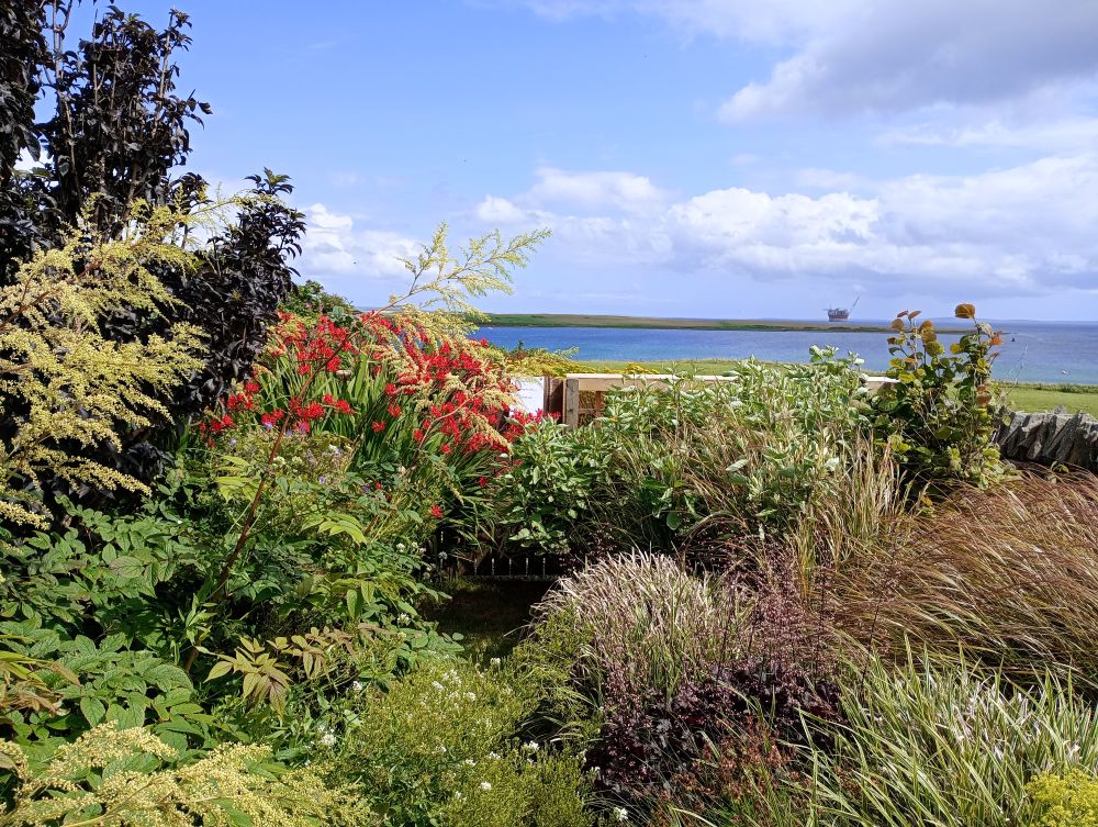 lush planting and over the wall Scapa Flow with a rigg out in the water