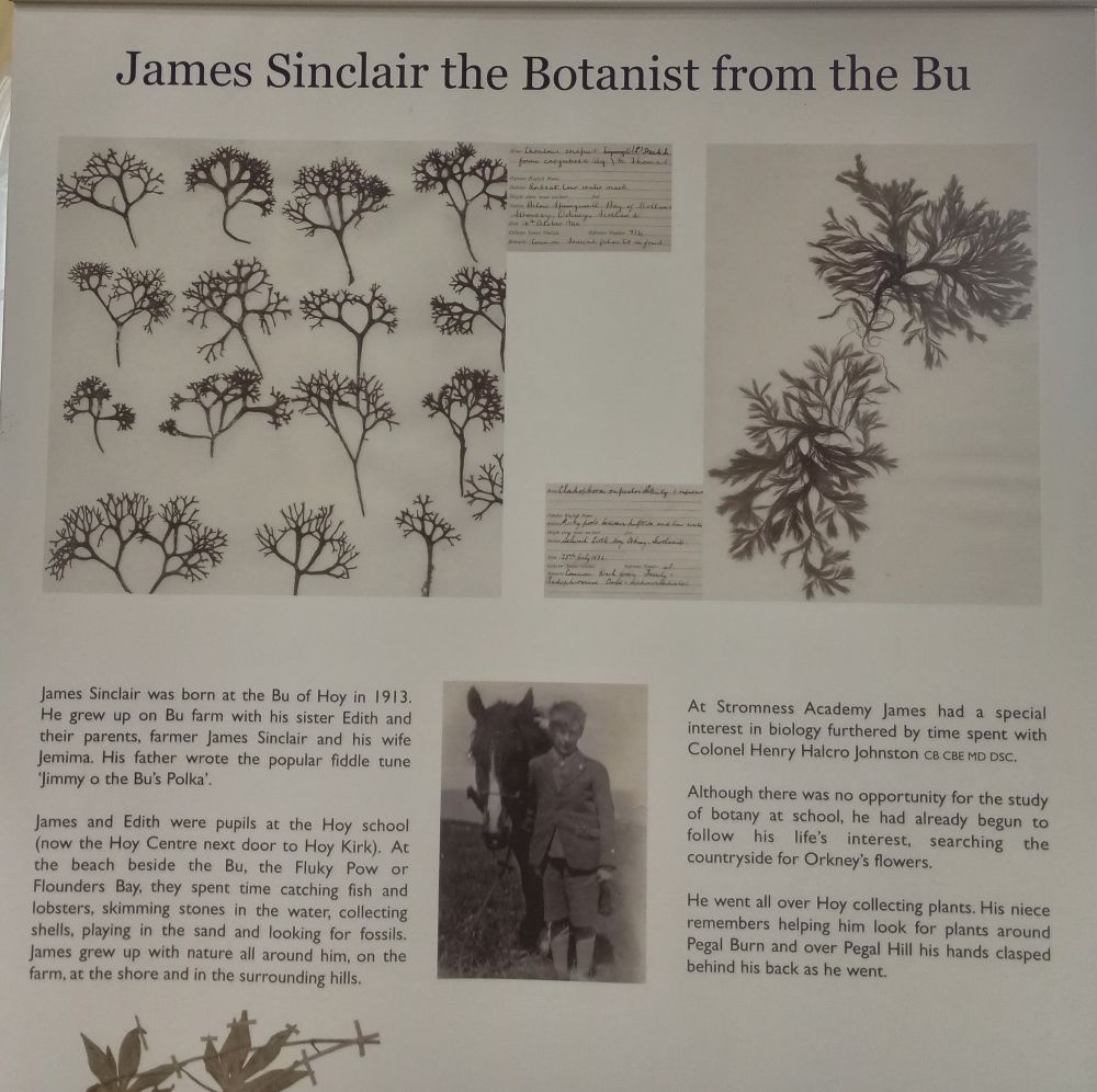 Grassroots Heritage in Orkney