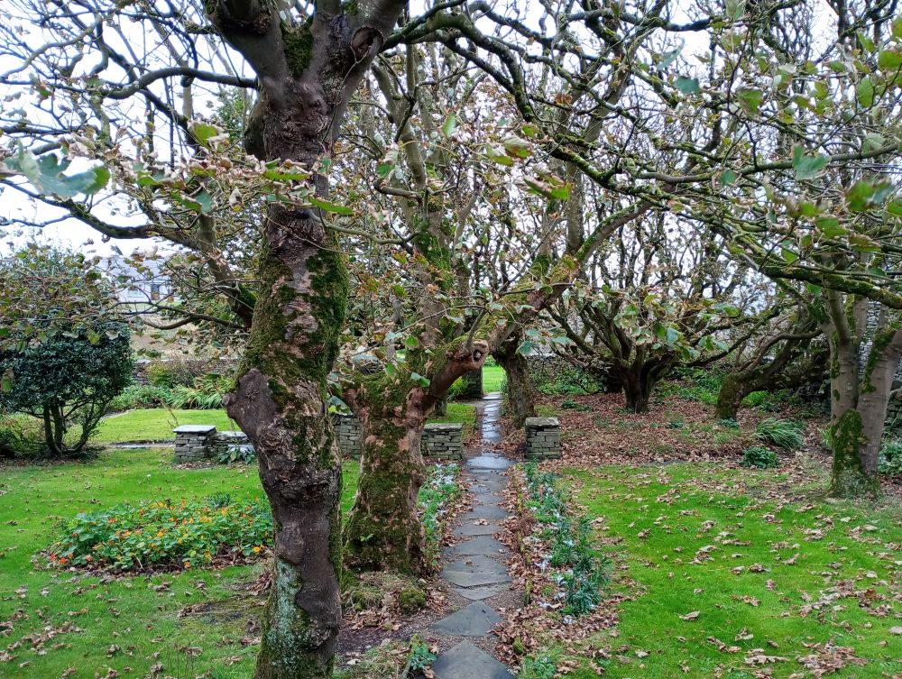 Weather Forecast 4 October: Stormy with showers or longer spells of rain.