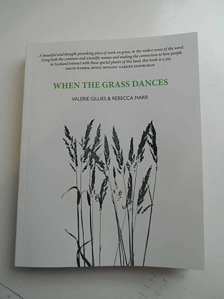 ‘Buss o Gress/Tuft of Grass’