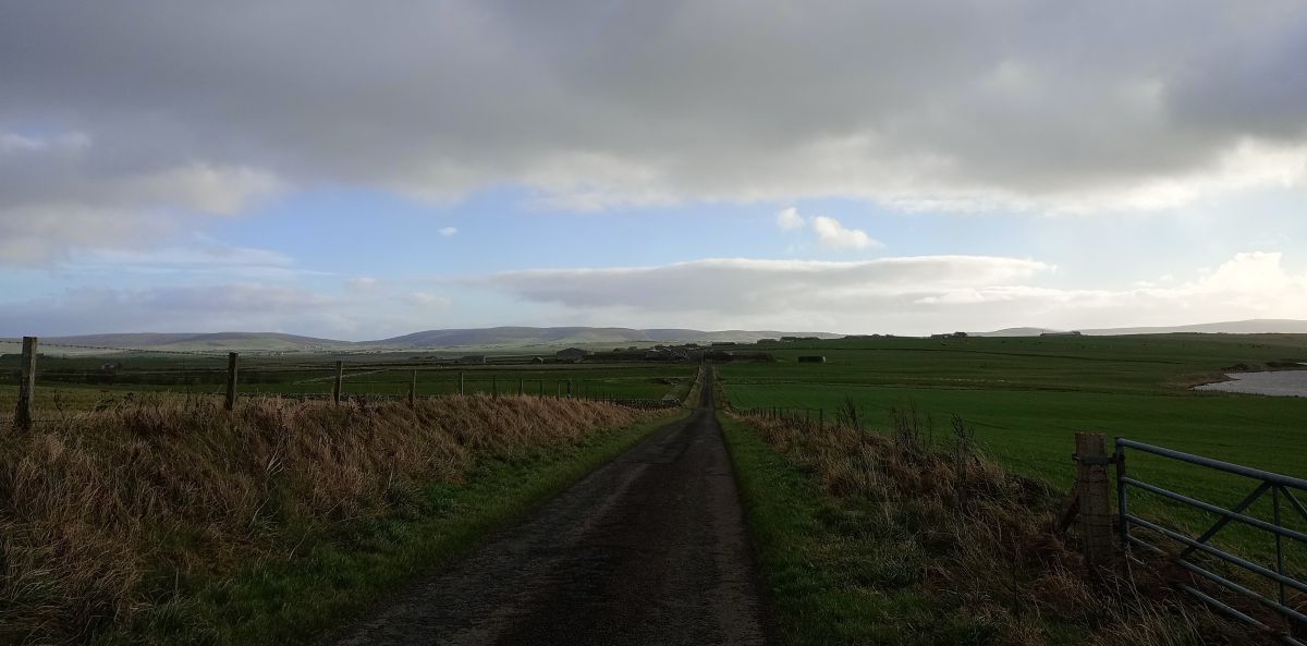 Weather Forecast 23 October : Cloudy with scattered showers, frequent south. Windy later.