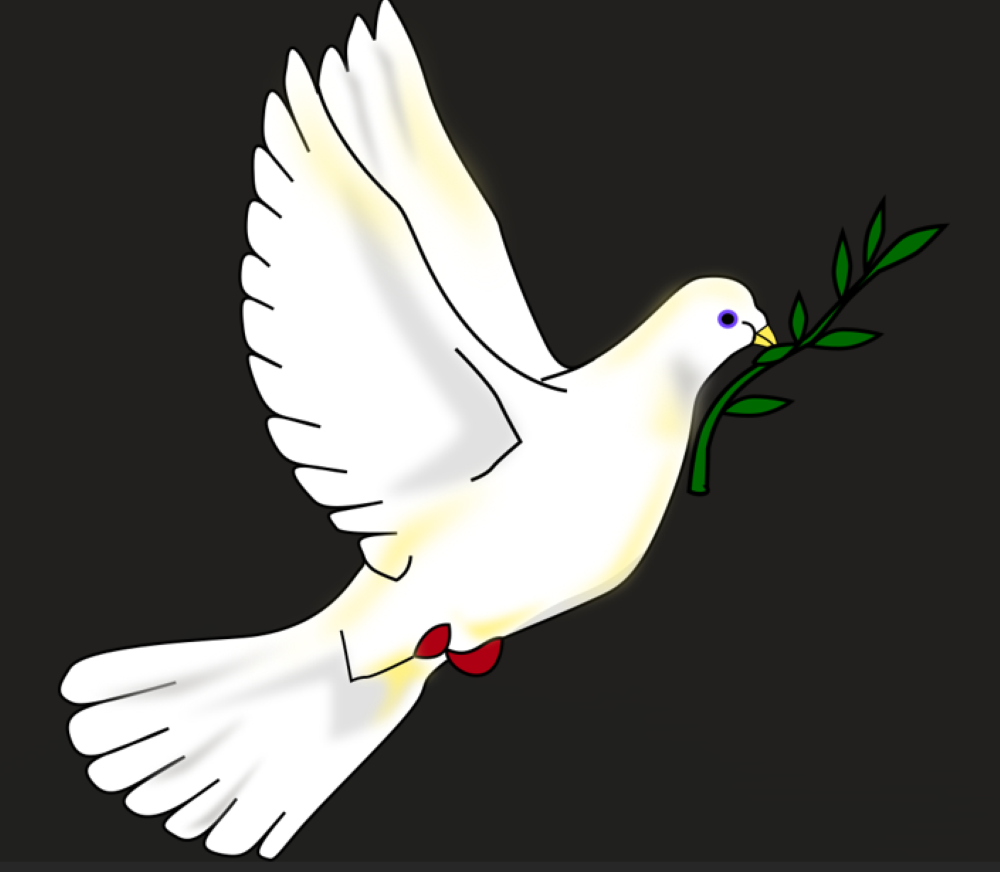 “We need to see Words & Promises Becoming Actions”: A Glimmer of Hope for Gaza’s Children